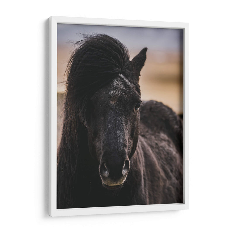 Mirada - Emmanuel Ramírez | Cuadro decorativo de Canvas Lab