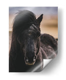 Mirada - Emmanuel Ramírez | Cuadro decorativo de Canvas Lab