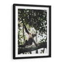 Mono Maicero - Emmanuel Ramírez | Cuadro decorativo de Canvas Lab