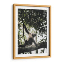 Mono Maicero - Emmanuel Ramírez | Cuadro decorativo de Canvas Lab