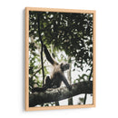 Mono Maicero - Emmanuel Ramírez | Cuadro decorativo de Canvas Lab