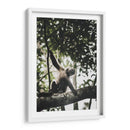 Mono Maicero - Emmanuel Ramírez | Cuadro decorativo de Canvas Lab