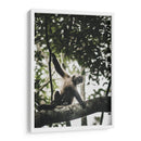 Mono Maicero - Emmanuel Ramírez | Cuadro decorativo de Canvas Lab