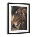 Retrato de Caballo Islandés - Emmanuel Ramírez | Cuadro decorativo de Canvas Lab