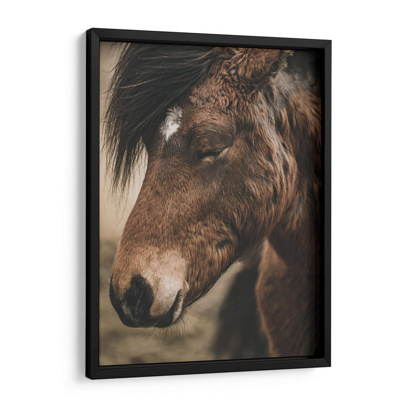 Retrato de Caballo Islandés - Emmanuel Ramírez | Cuadro decorativo de Canvas Lab