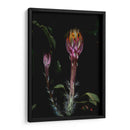 Natural Lantern - PhotoVicz | Cuadro decorativo de Canvas Lab