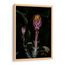 Natural Lantern - PhotoVicz | Cuadro decorativo de Canvas Lab