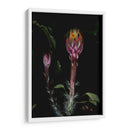 Natural Lantern - PhotoVicz | Cuadro decorativo de Canvas Lab