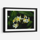 Peeking Out - PhotoVicz | Cuadro decorativo de Canvas Lab