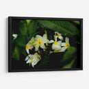 Peeking Out - PhotoVicz | Cuadro decorativo de Canvas Lab