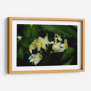 Peeking Out - PhotoVicz | Cuadro decorativo de Canvas Lab