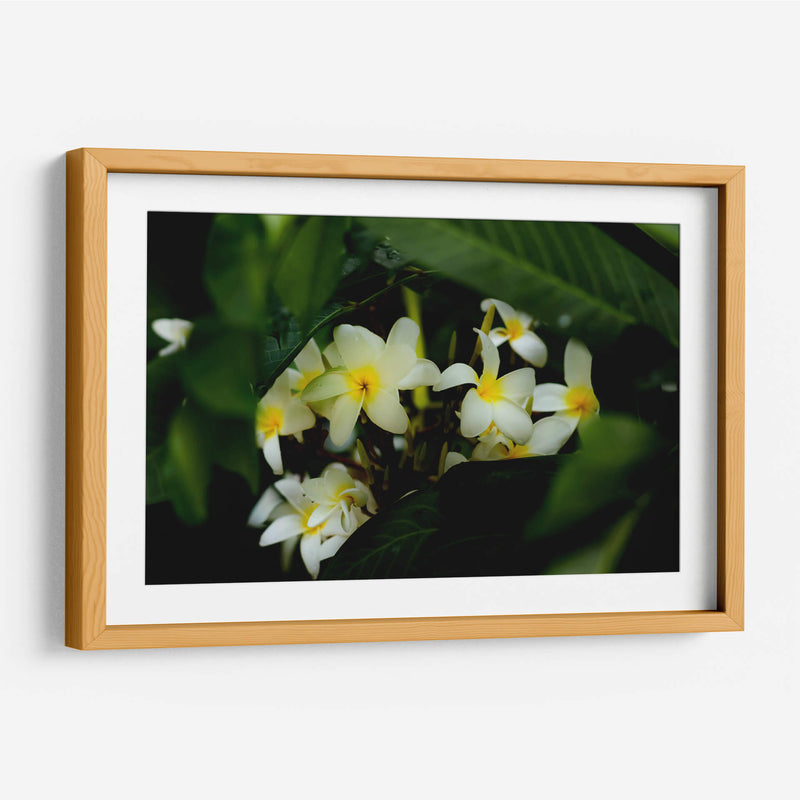 Peeking Out - PhotoVicz | Cuadro decorativo de Canvas Lab