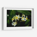 Peeking Out - PhotoVicz | Cuadro decorativo de Canvas Lab