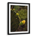 Start - PhotoVicz | Cuadro decorativo de Canvas Lab