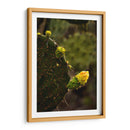 Start - PhotoVicz | Cuadro decorativo de Canvas Lab