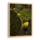 Start - PhotoVicz | Cuadro decorativo de Canvas Lab