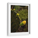 Start - PhotoVicz | Cuadro decorativo de Canvas Lab