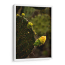 Start - PhotoVicz | Cuadro decorativo de Canvas Lab