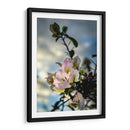 Sticking Out - PhotoVicz | Cuadro decorativo de Canvas Lab