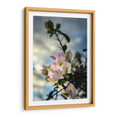 Sticking Out - PhotoVicz | Cuadro decorativo de Canvas Lab