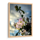 Sticking Out - PhotoVicz | Cuadro decorativo de Canvas Lab