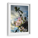 Sticking Out - PhotoVicz | Cuadro decorativo de Canvas Lab