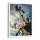 Sticking Out - PhotoVicz | Cuadro decorativo de Canvas Lab