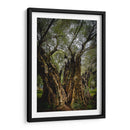 Strength - PhotoVicz | Cuadro decorativo de Canvas Lab