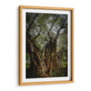 Strength - PhotoVicz | Cuadro decorativo de Canvas Lab