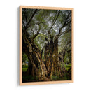 Strength - PhotoVicz | Cuadro decorativo de Canvas Lab