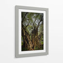 Strength - PhotoVicz | Cuadro decorativo de Canvas Lab