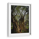 Strength - PhotoVicz | Cuadro decorativo de Canvas Lab