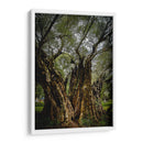 Strength - PhotoVicz | Cuadro decorativo de Canvas Lab