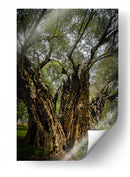 Strength - PhotoVicz | Cuadro decorativo de Canvas Lab