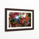 Sun Ray - PhotoVicz | Cuadro decorativo de Canvas Lab