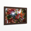 Sun Ray - PhotoVicz | Cuadro decorativo de Canvas Lab