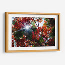 Sun Ray - PhotoVicz | Cuadro decorativo de Canvas Lab