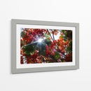 Sun Ray - PhotoVicz | Cuadro decorativo de Canvas Lab