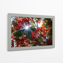 Sun Ray - PhotoVicz | Cuadro decorativo de Canvas Lab