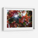 Sun Ray - PhotoVicz | Cuadro decorativo de Canvas Lab
