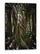 Time - PhotoVicz | Cuadro decorativo de Canvas Lab