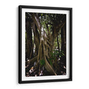 Time - PhotoVicz | Cuadro decorativo de Canvas Lab