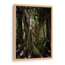 Time - PhotoVicz | Cuadro decorativo de Canvas Lab