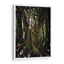 Time - PhotoVicz | Cuadro decorativo de Canvas Lab