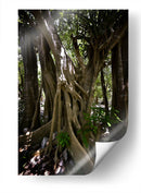 Time - PhotoVicz | Cuadro decorativo de Canvas Lab