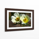 Together Forever - PhotoVicz | Cuadro decorativo de Canvas Lab