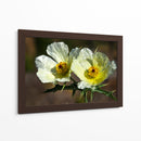 Together Forever - PhotoVicz | Cuadro decorativo de Canvas Lab