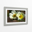 Together Forever - PhotoVicz | Cuadro decorativo de Canvas Lab