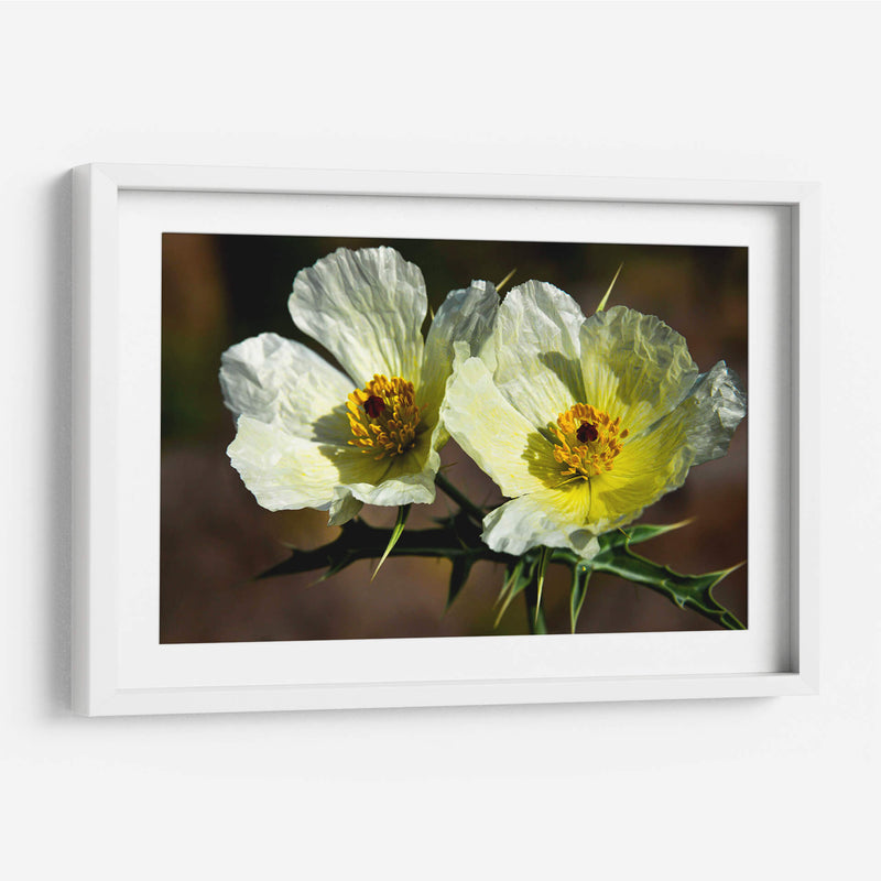 Together Forever - PhotoVicz | Cuadro decorativo de Canvas Lab