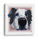 Australian Shepherd 2CL - Corrococho | Cuadro decorativo de Canvas Lab